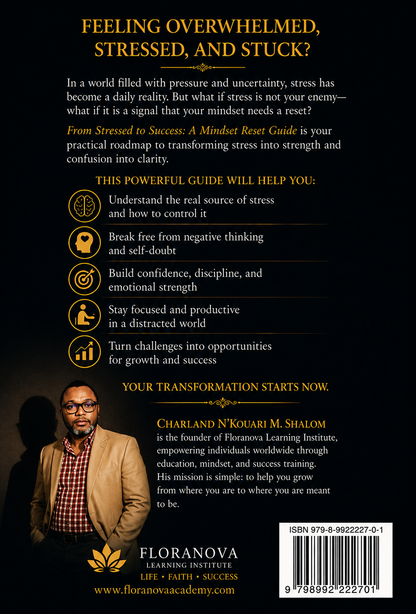 FROM STRESSED TO SUCCESS:   A MINDSET RESET GUIDE